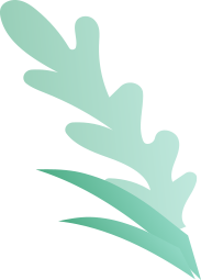Hellio  leaf